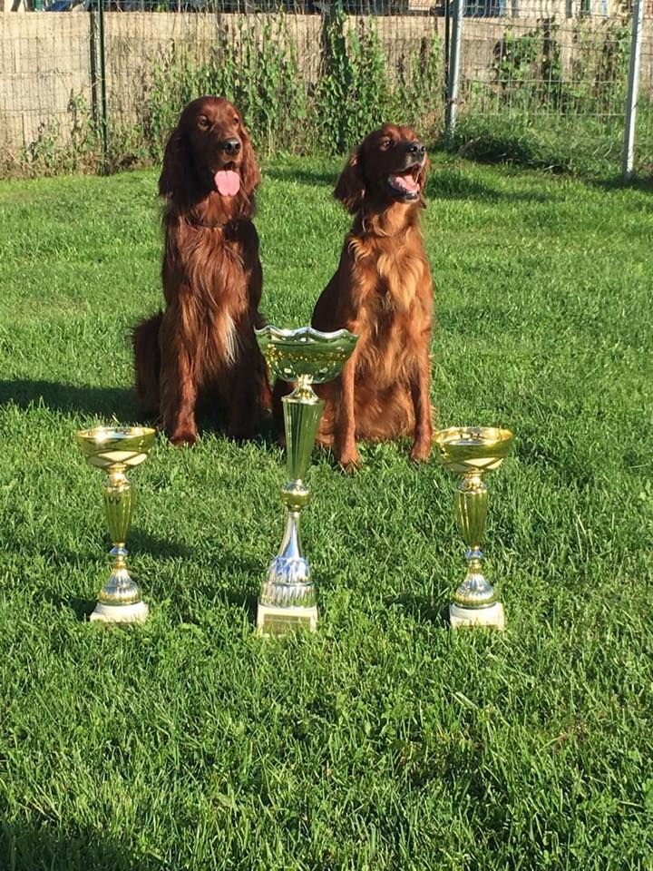 Du Domaine Du Fuchsberg - Exposition canine de Libourne 