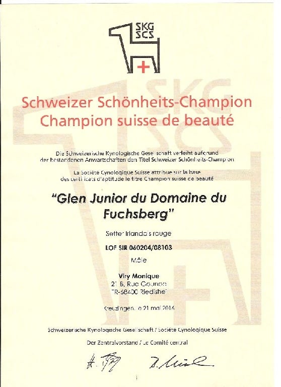 Du Domaine Du Fuchsberg - Un nouveau titre de champion pour Glen