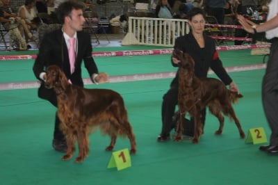 Du Domaine Du Fuchsberg - Championnat de France suite et fin