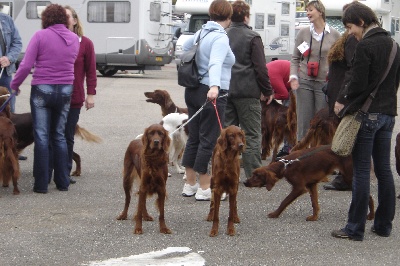 Du Domaine Du Fuchsberg - Exposition canine de Metz