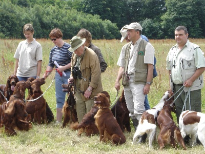 Du Domaine Du Fuchsberg - 07/07/07 : Journée irlandaise et...