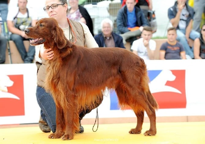 Du Domaine Du Fuchsberg - Game fair 2016