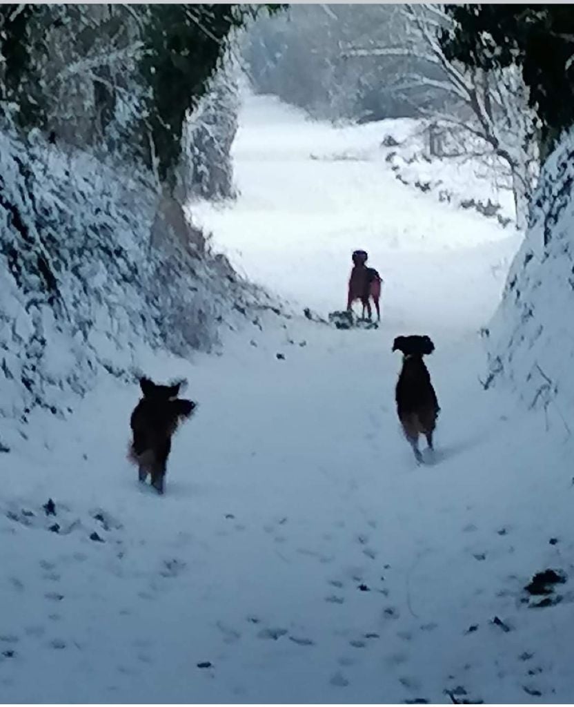 Du Domaine Du Fuchsberg - Vive la neige !