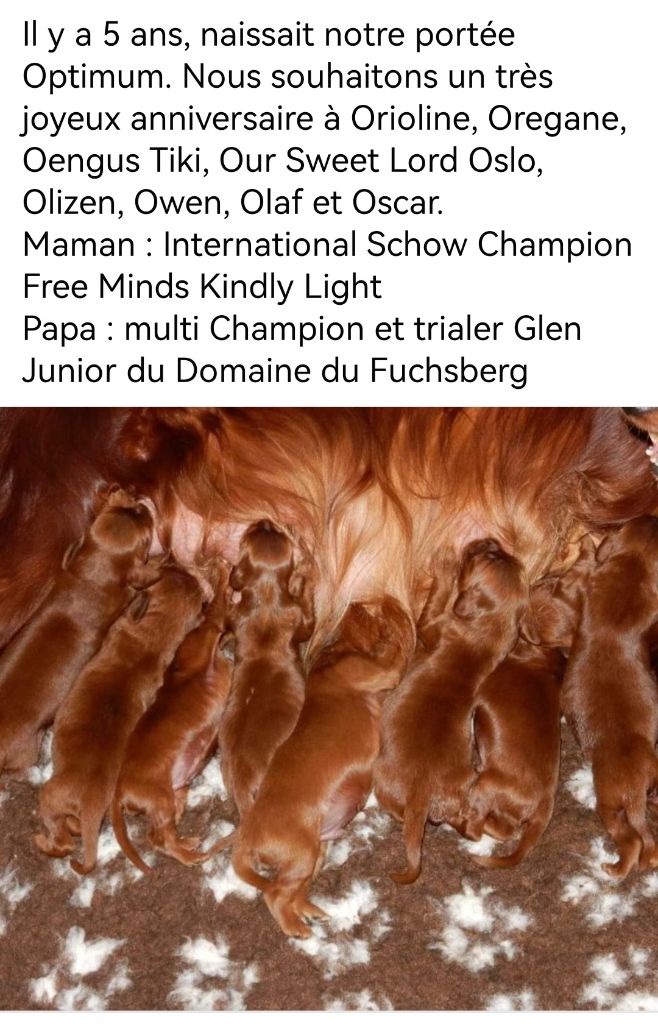 Du Domaine Du Fuchsberg - Joyeux anniversaire les Optimums