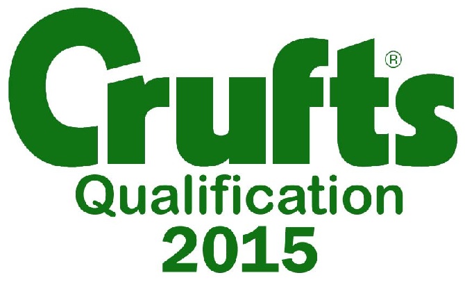 Du Domaine Du Fuchsberg - Notre Glen est qualifié pour la CRUFTS !!!