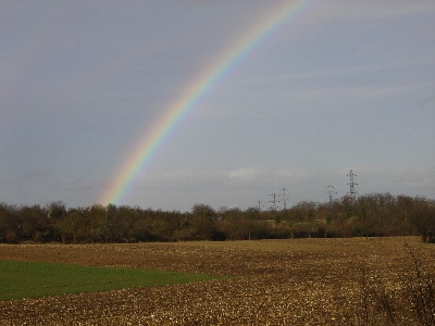 Du Domaine Du Fuchsberg - Pluie et soleil