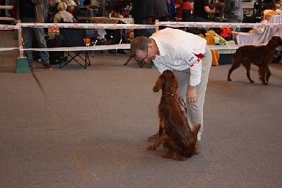 Du Domaine Du Fuchsberg - Exposition canine de Colmar