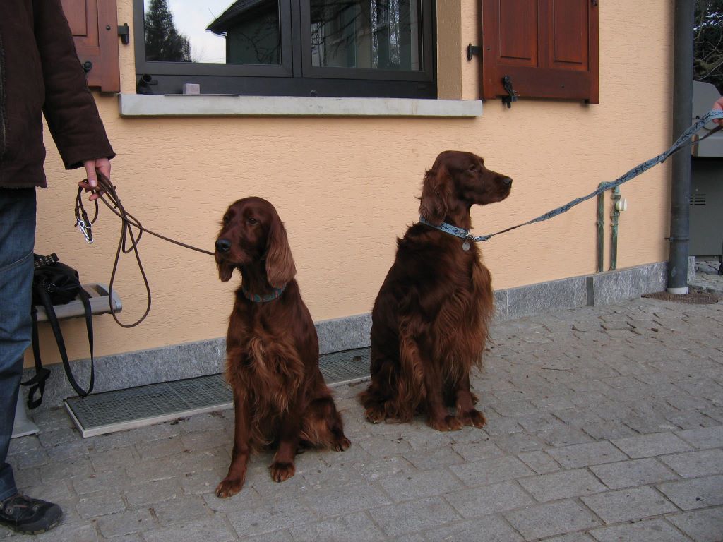 Du Domaine Du Fuchsberg - Déjà 7 ans, comme le temps passe !!! 