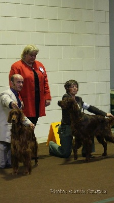 Du Domaine Du Fuchsberg - Expo canine du Luxembourg