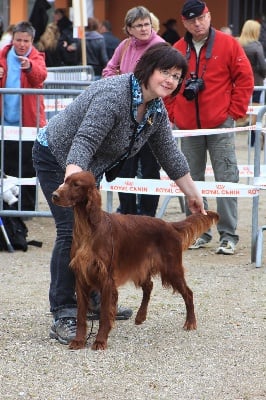 Du Domaine Du Fuchsberg - Première exposition canine de Kenzie