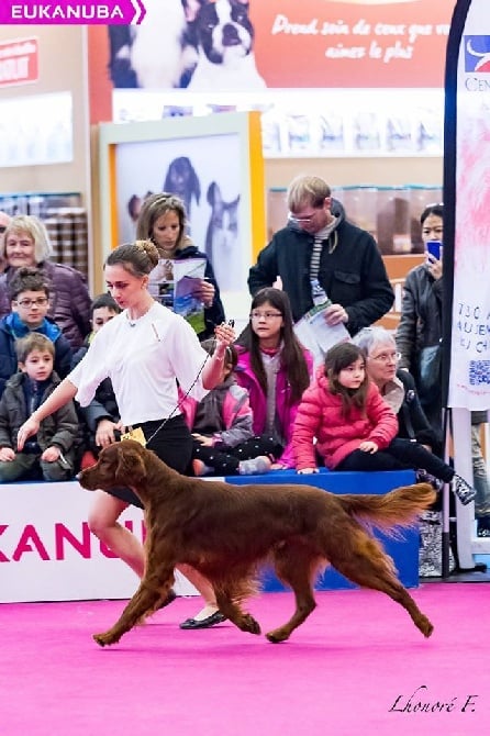 Du Domaine Du Fuchsberg - Glen Junior au CGA à Paris