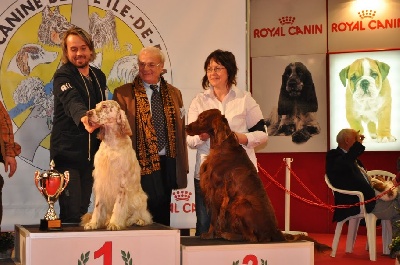 Du Domaine Du Fuchsberg - Paris Dog Show 2012 suite et fin