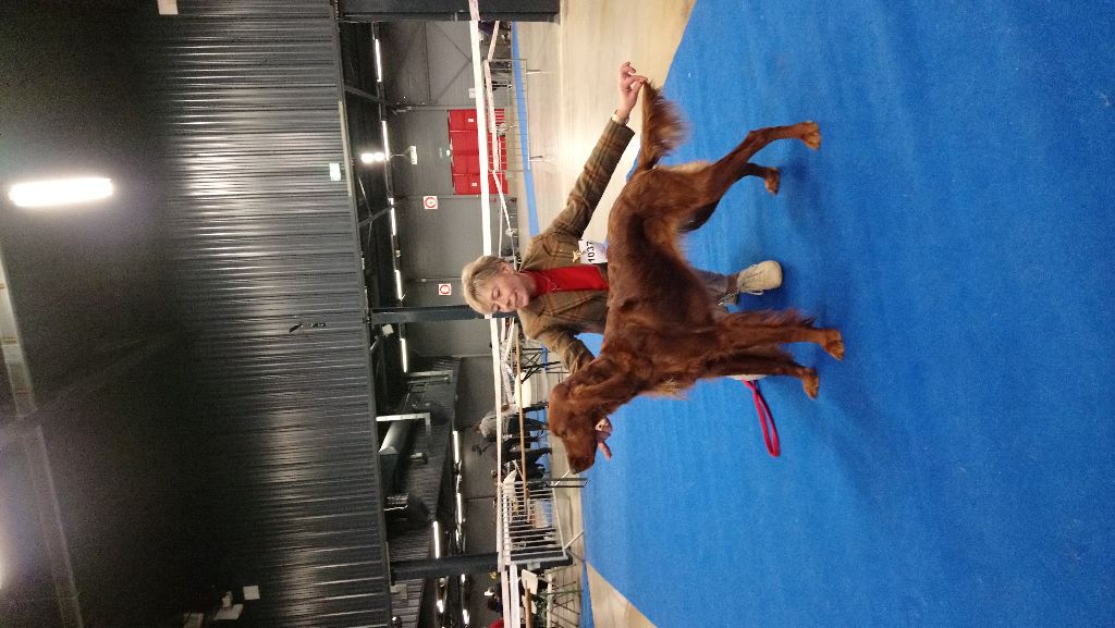 Du Domaine Du Fuchsberg - International Paris Dog Show