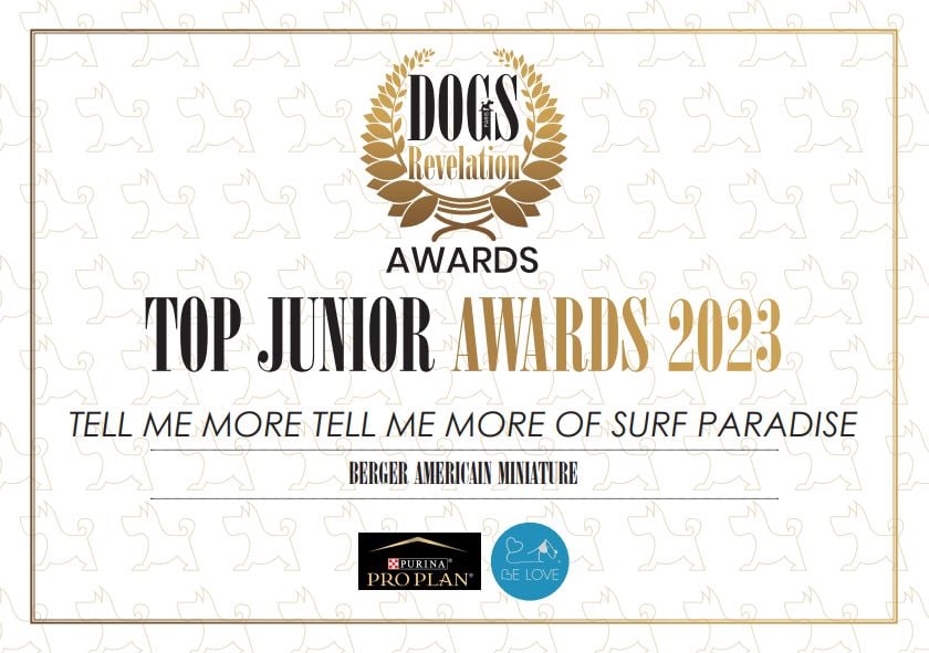 Of surf paradise - meilleur jeune de l'année 2023