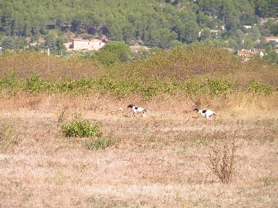 des Boutées de Quefelec - 1 ére sortie en plaine.