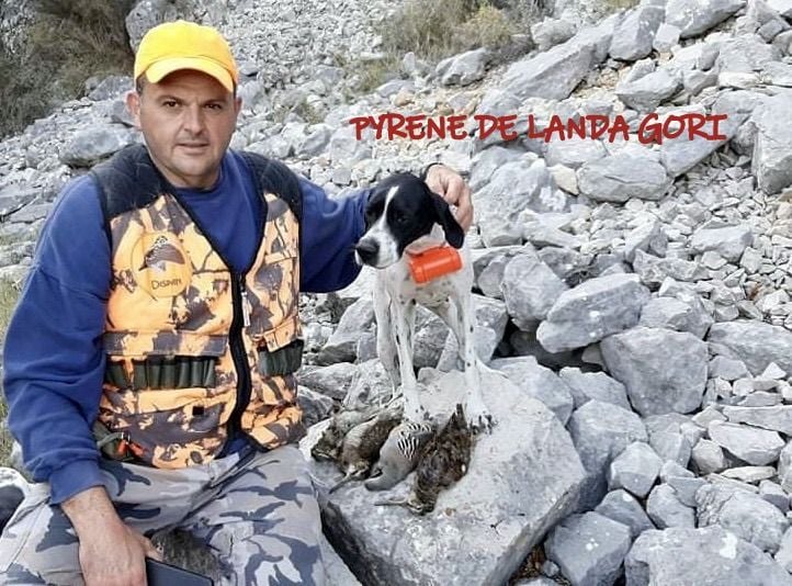 de landa gori - PYRENE DE LANDA GORI :Chasse la bécasse montagne CHIOS GRECE !