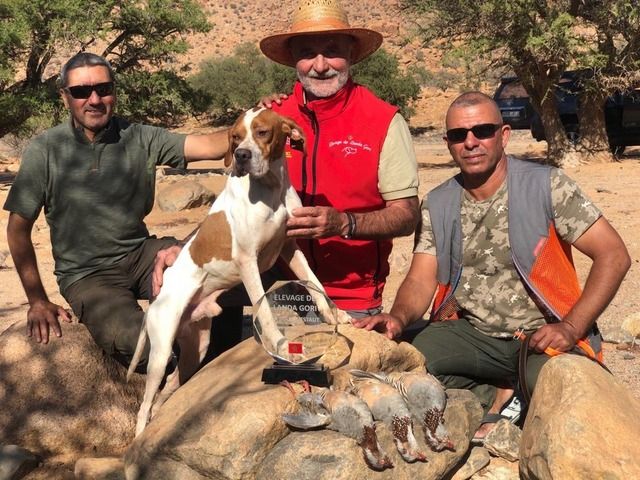 de landa gori - CHASSE DE L EXTREME ATLAS MAROC ....