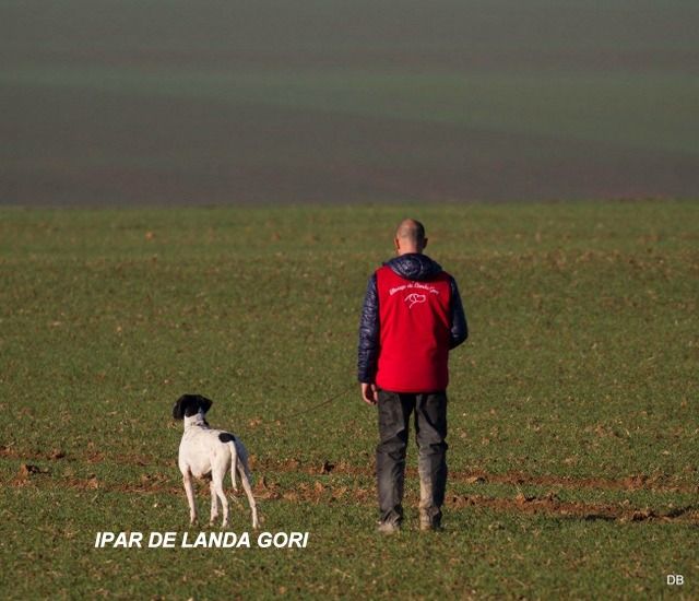 de landa gori - IPAR DE LANDA GORI : 2eme EXCELLENT Grande Quête FRANCE !!!