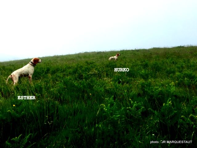 de landa gori - ESTHER et HURKO DE LANDA GORI ...Training montagne !!