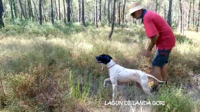 de landa gori - LAGUN DE LANDA GORI : Entraînement