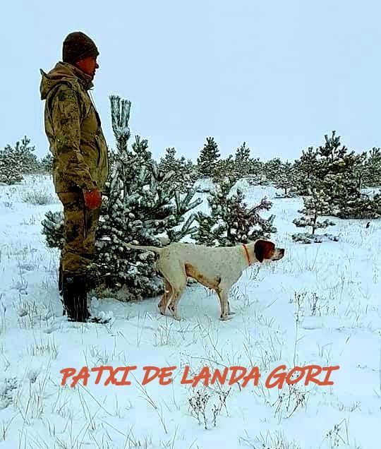 de landa gori - PATXI DE LANDA GORI ;Entraînement Perdreaux TURQUIE !