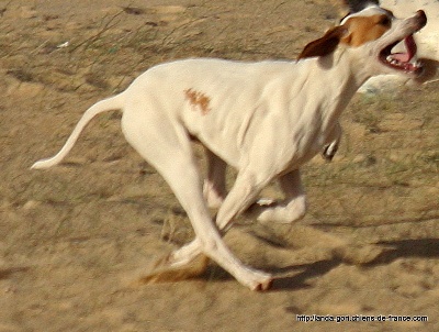 de landa gori - FANGO  6 mois training sur la dune