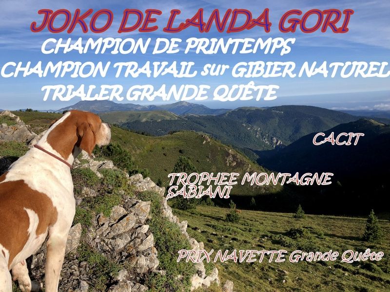 de landa gori - JOKO DE LANDA GORI : N E 2021 Recompense pour ses titre de CHAPIONS !