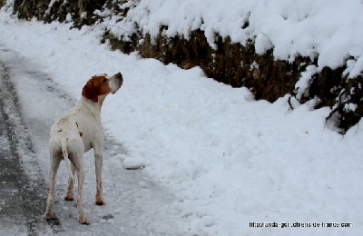 de landa gori - ELIOT DE LANDA GORI.....Neige !!