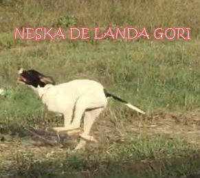 de landa gori - NESKA DE LANDA GORI ...TURQUIE !!