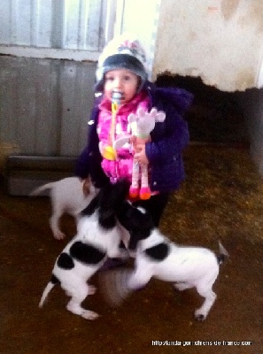 de landa gori - LOLA.....Et les chiots !!!