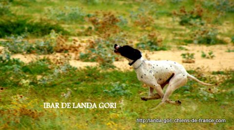 de landa gori - IBAR DE LANDA GORI !!! Training !!!