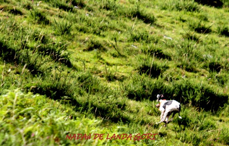 de landa gori - NADAù DE LANDA GORI ; Entraînement montagne CANTABRIE !