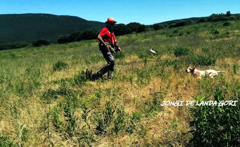 de landa gori - JONGI DE LANDA GORI : Entraînement montagnes Cantabriques !