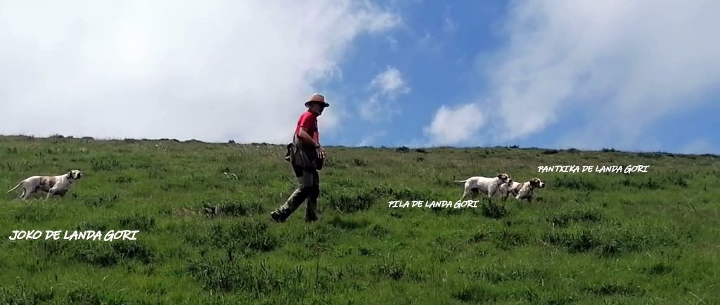 de landa gori - JOKO ,PILA , Et PANTXIKA DE LANDA GORI :Montagnes ...