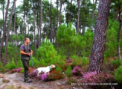 de landa gori - BOGA DE LANDA GORI et CYRIL...;CHASSE !!