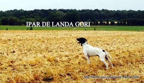 de landa gori - IPAR DE LANDA GORI...2eme EXC Grande quête d'hiver !!!