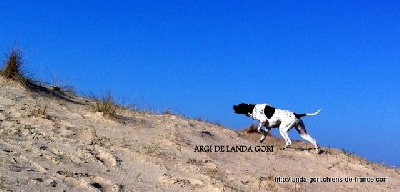 de landa gori - ARGI DE LANDA GORI  ...Training plage !!