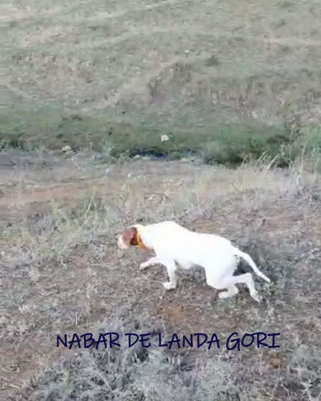 de landa gori - NABAR DE LANDA GORI ..Entraînement au MAROC !