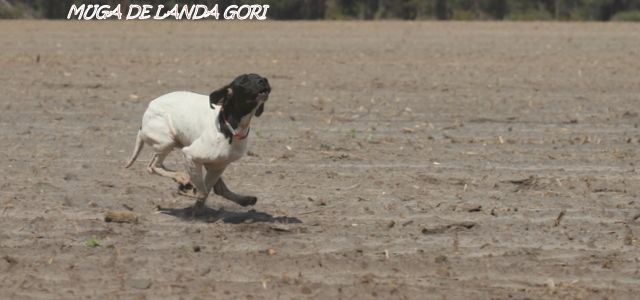 de landa gori - MUGA DE LANDA GORI :Entraînement ALLURES !!