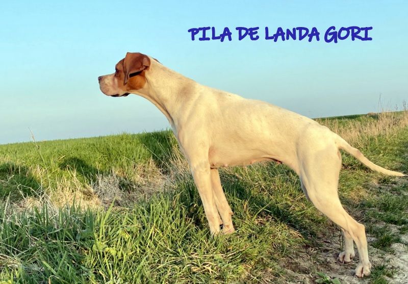 de landa gori - PILA DE LANDA GORI : Entraînement printemps !