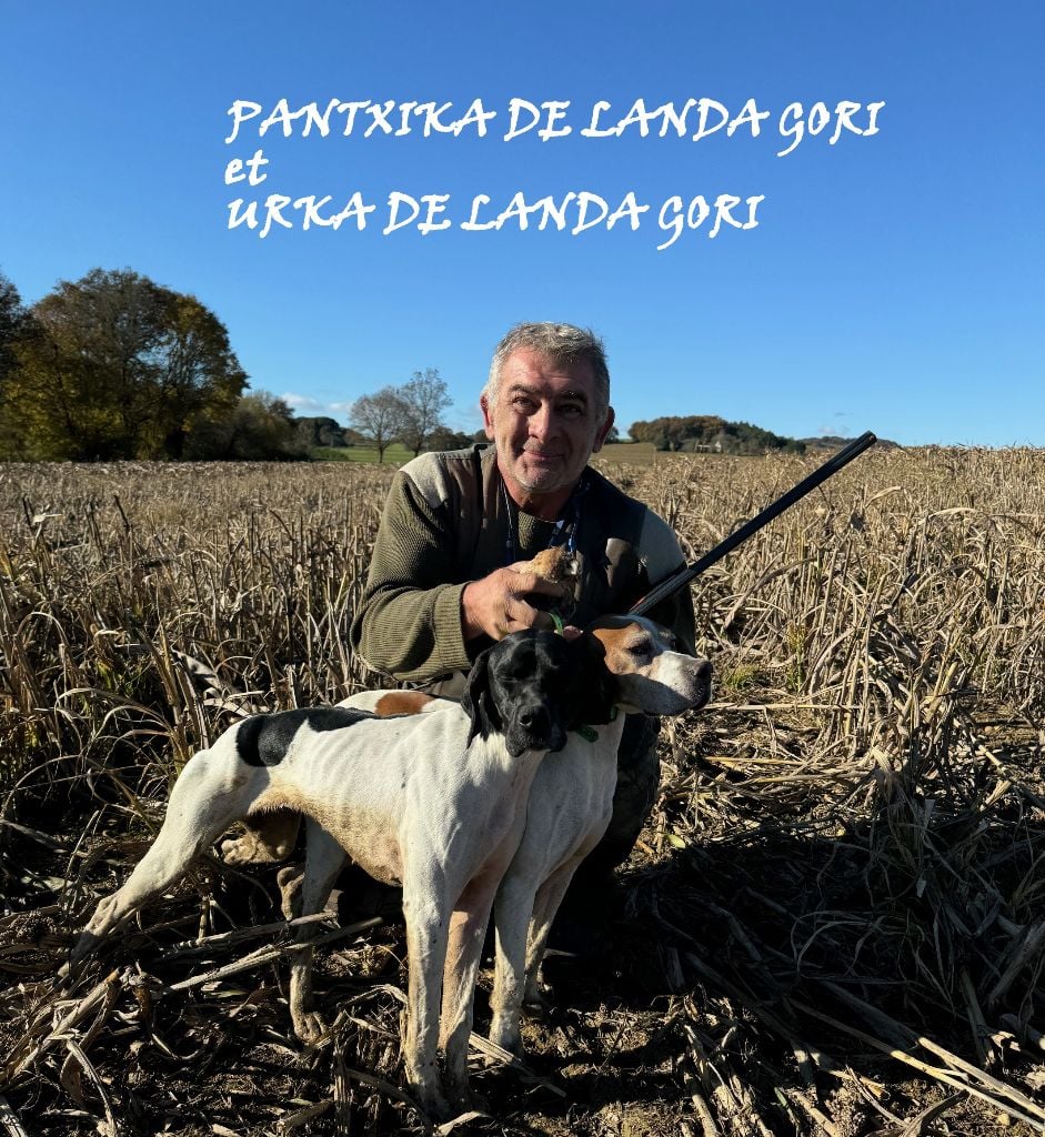 de landa gori - PANTXIKA et URKA DE LANDA GORI/Chasse lacaille/Tarn et Garonne