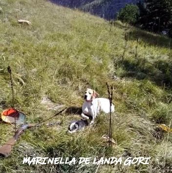 de landa gori - MARINELLA DE LANDA GORI :Chasse le têtras ALPES !