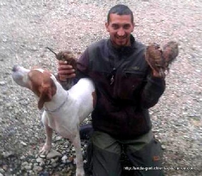 de landa gori - C'XABAL DE LANDA GORI ....Chasse Bécasse !!