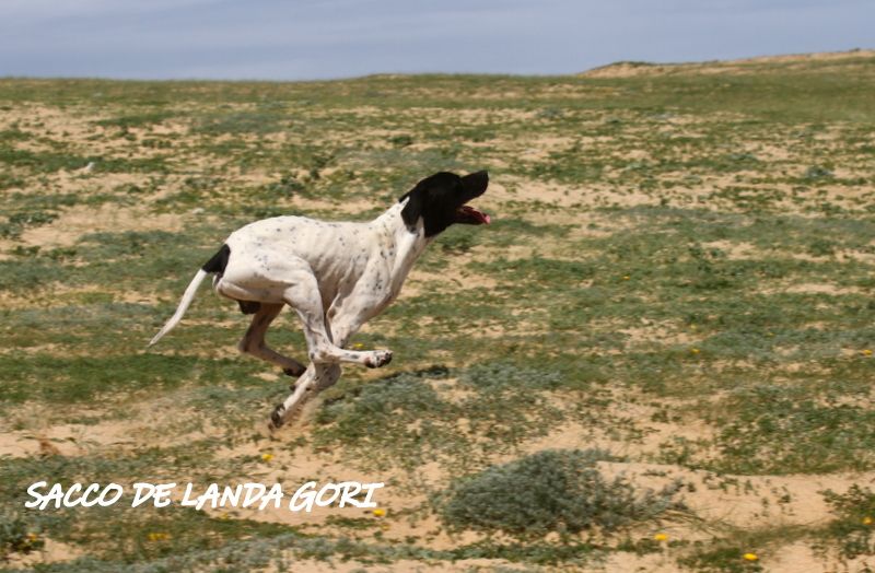 de landa gori - SACCO DE LANDA GORI : Entraînement !!