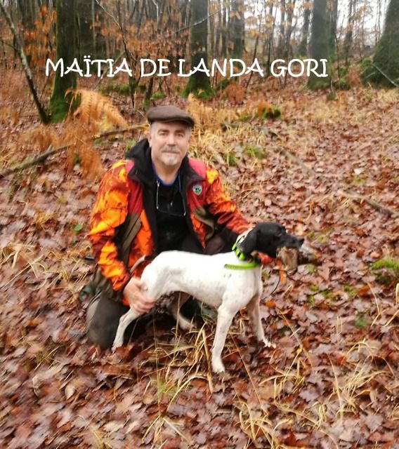 de landa gori - MAITIA DE LANDA GORI ;Chasse la bécasse BURGOS ESPAGNE !