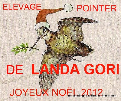 de landa gori - JOYEUX NOËL