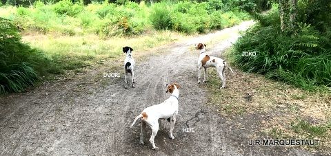 de landa gori - D'JORI HEFI JOKO DE LANDA GORI ...Entraînement !!!