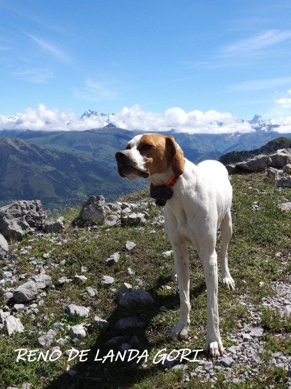 de landa gori - RENO DE LANDA GORI :Montagnes ALPES !