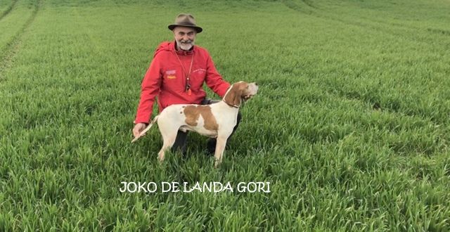 de landa gori - JOKO DE LANDA GORI;2eme EXCELLENT RCACT