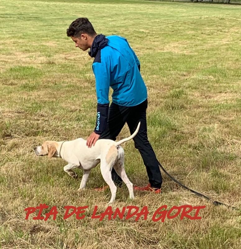 de landa gori - PÏA DE LANDA GORI ; Entraînement PYRENEES !